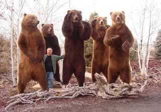 Камчатские медведи-гиганты